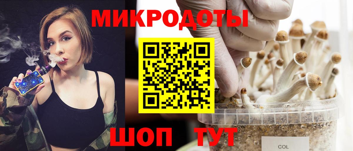 Калининград  Псилоцибиновые грибы прущие грибы  Вход с VPN  Галлюциногенные грибы Psilocybine cubensis 
